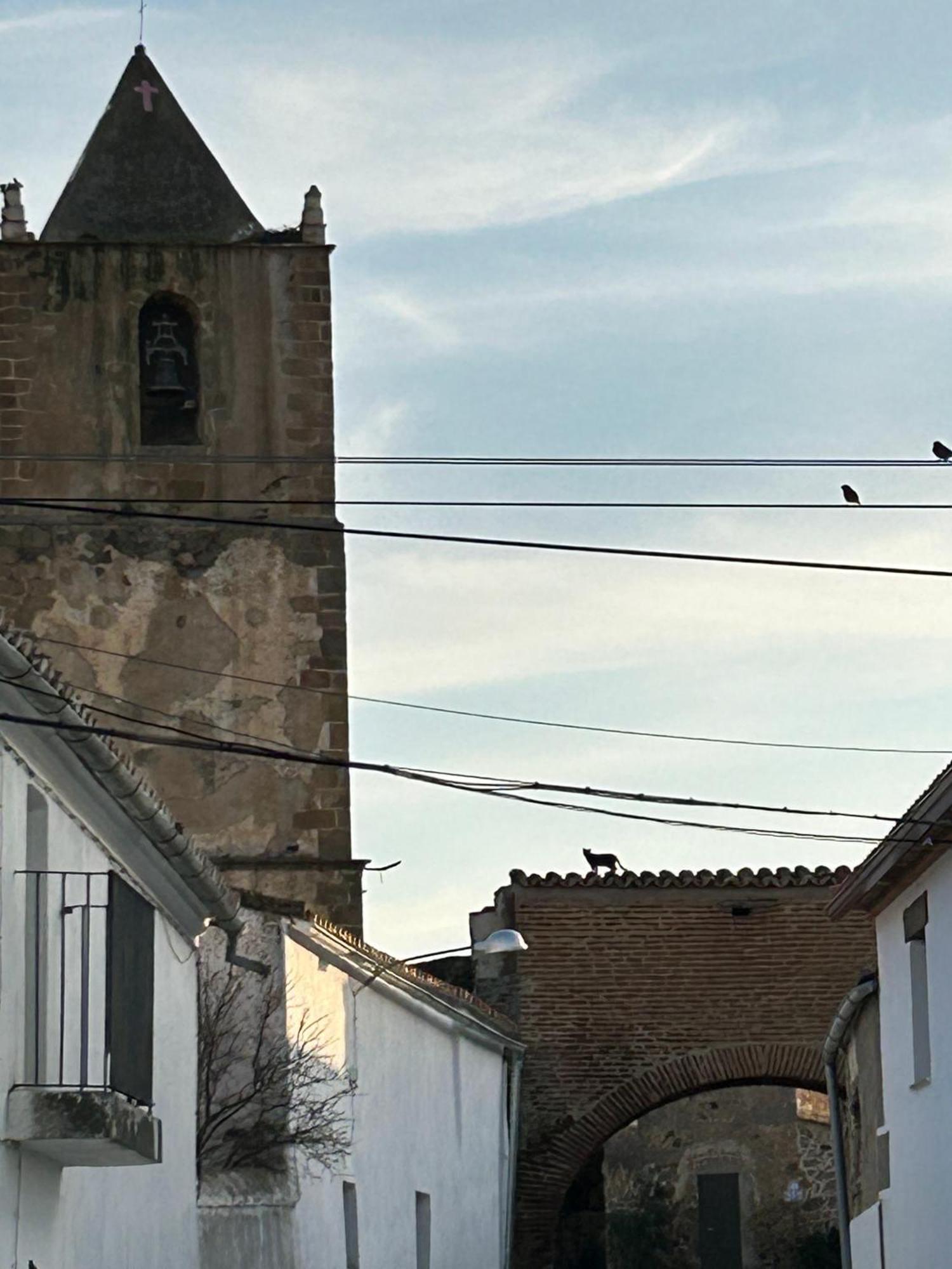 Casa Rural La Manzanilla Salvatierra de Santiago Bagian luar foto