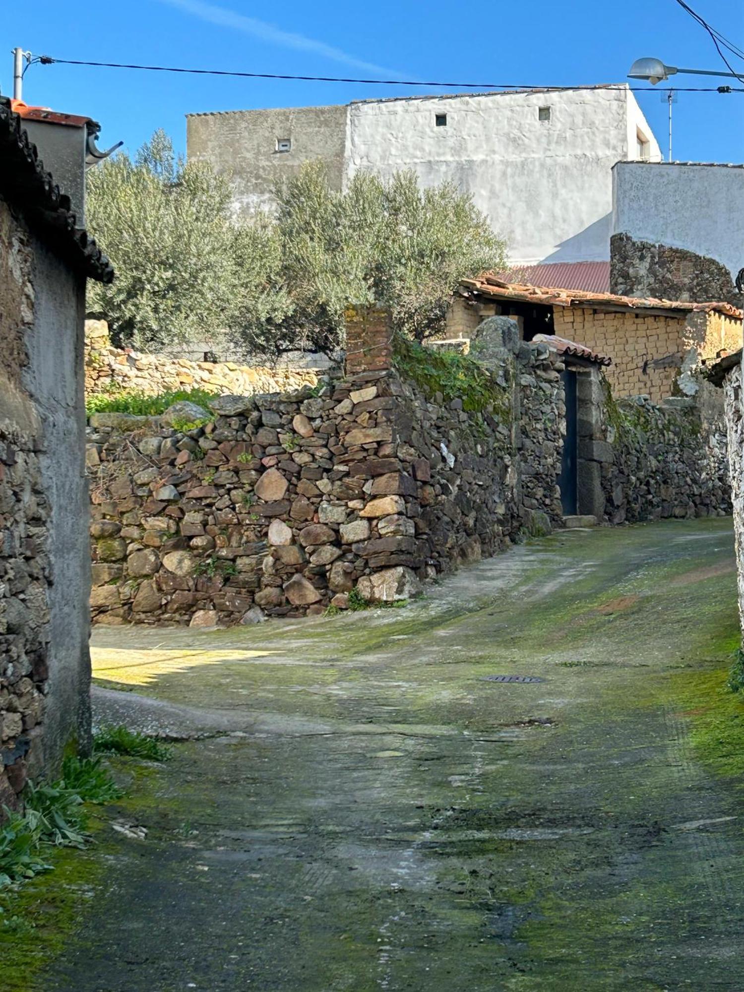 Casa Rural La Manzanilla Salvatierra de Santiago Bagian luar foto